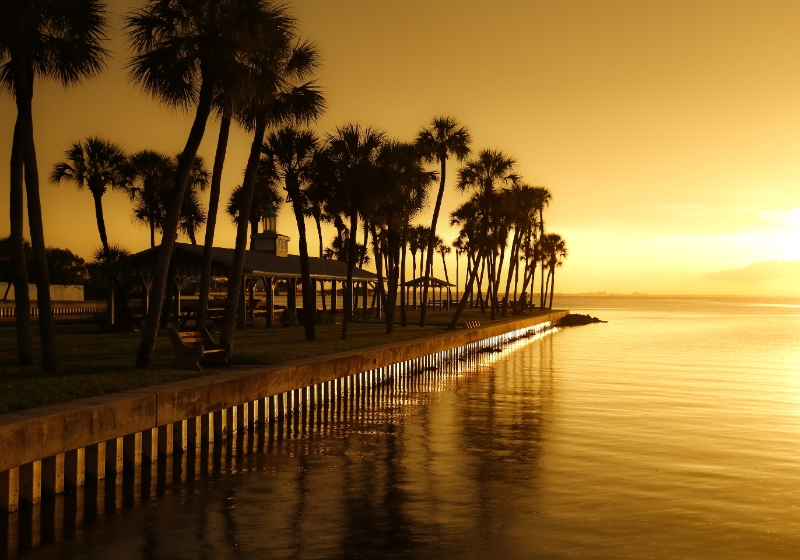 Kochi to Alleppey by Road: Distance, Time & What to See Image