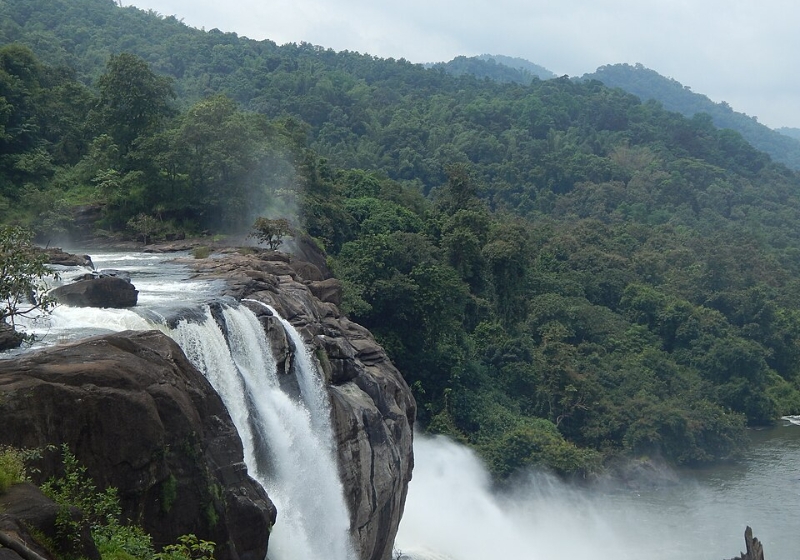 Kerala in Monsoon: Is It Worth Visiting? (2026 Guide) Image