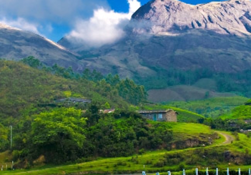 Kochi to Thekkady: Complete Travel Guide Image